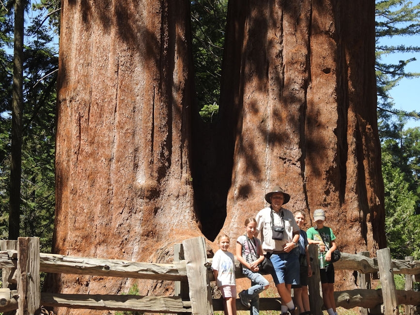 Family at giant sequoia trees, King's Canyon National Park, CA
