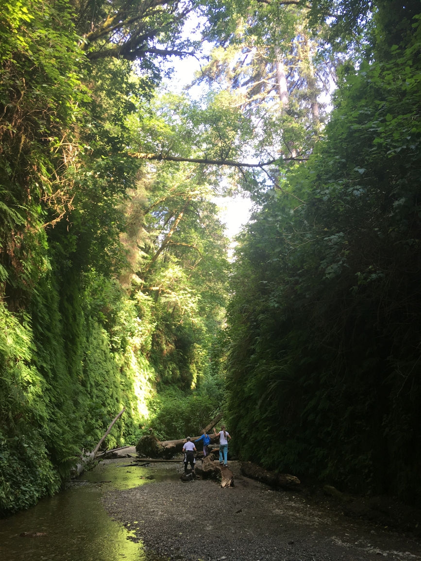 Fern Canyon & beach, Redwood National Park