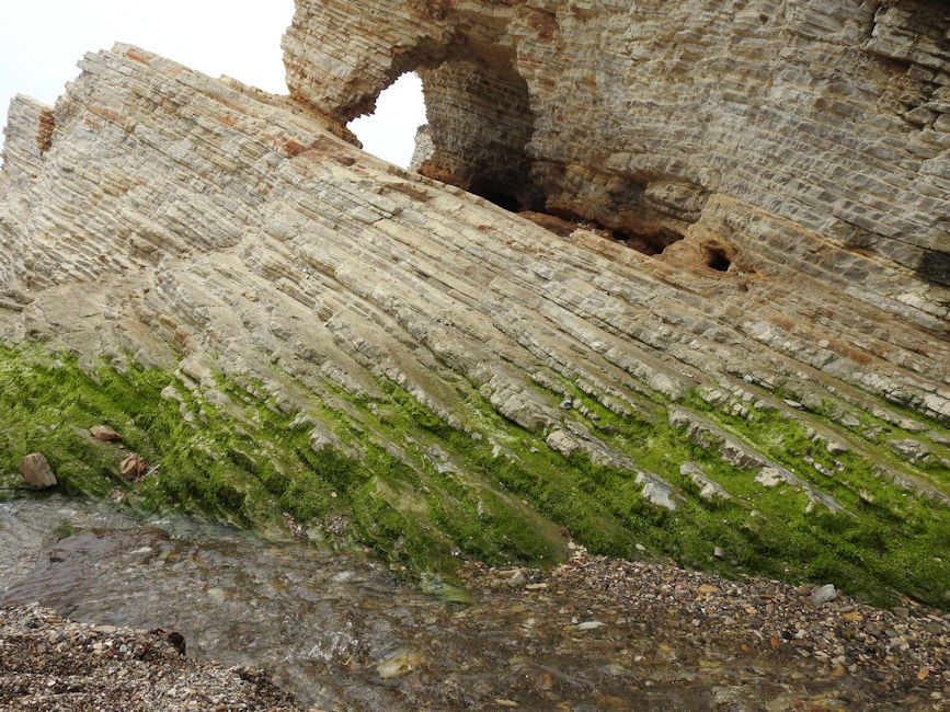Montana de Oro beach, CA (15) 867x650
