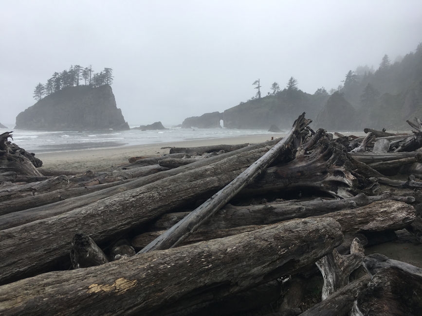 Second Beach, Olympic National Park