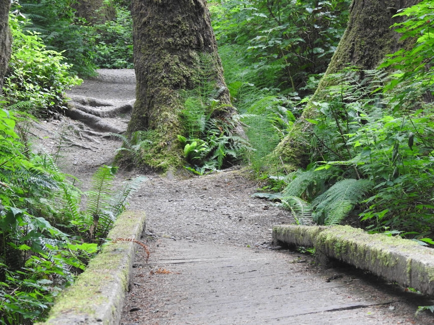Second Beach hike, Olympic National Park