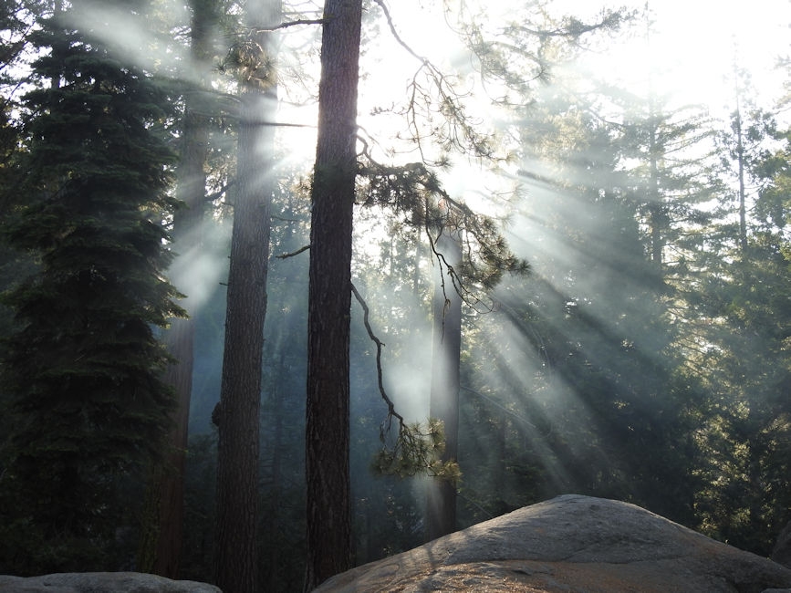 Sunset Campground, King's Canyon National Park